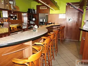 Prodej ubytování, Kroměříž, Stoličkova, 250 m2