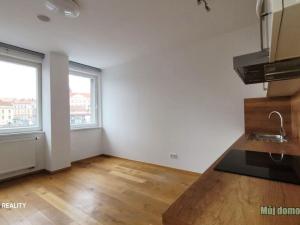 Pronájem bytu 1+kk, Praha - Vinohrady, Perucká, 26 m2