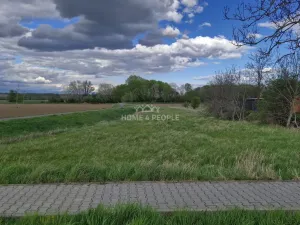 Prodej pozemku pro bydlení, Cvrčovice, 1600 m2
