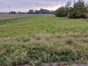 Prodej pozemku pro bydlení, Cvrčovice, 1600 m2