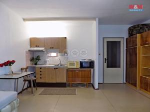Pronájem bytu 1+kk, Ústí nad Labem - Krásné Březno, Neštěmická, 32 m2