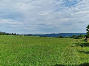 Prodej zemědělské půdy, Hostomice, 6762 m2