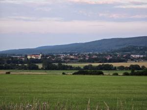 Prodej zemědělské půdy, Hostomice, 6762 m2