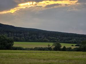 Prodej zemědělské půdy, Hostomice, 6762 m2