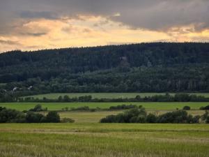 Prodej zemědělské půdy, Hostomice, 6762 m2