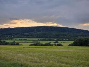 Prodej zemědělské půdy, Hostomice, 6762 m2