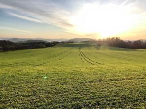 Prodej pozemku pro bydlení, Pyšely, 1671 m2