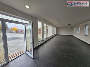 Pronájem pozemku pro komerční výstavbu, Plzeň - Skvrňany, Domažlická, 1450 m2