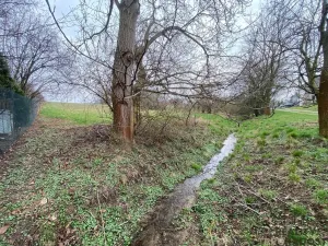 Prodej pozemku pro bydlení, Tršice, 2341 m2