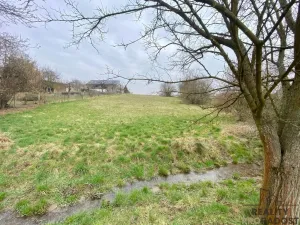 Prodej pozemku pro bydlení, Tršice, 2341 m2