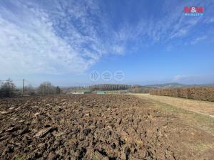 Prodej zemědělské půdy, Radostná pod Kozákovem, 22455 m2