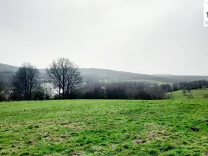 Prodej pozemku, Cheb, Nad Jezem, 11773 m2