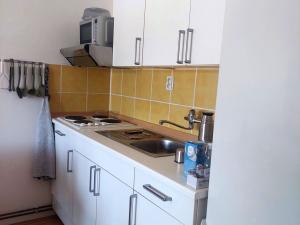 Prodej bytu 1+kk, Brno - Dolní Heršpice, 29 m2