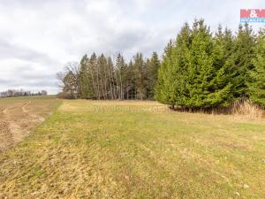 Prodej trvalého travního porostu, Vysočina - Možděnice, 108437 m2