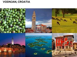 Prodej komerčního pozemku, Vodnjan,Chorvatsko, 16809800 m2