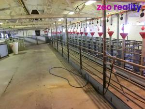 Prodej zemědělského objektu, Majdalena, 2000 m2