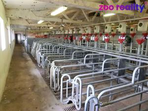 Prodej zemědělského objektu, Majdalena, 2000 m2