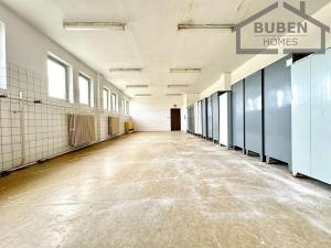 Prodej výrobních prostor, Lom u Tachova, 11180 m2