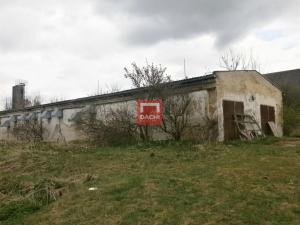 Prodej zemědělské usedlosti, Šternberk - Dalov, 4507 m2