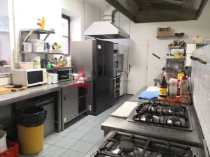 Prodej ubytování, Přimda, Pod Hradem, 500 m2