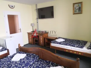 Prodej ubytování, Přimda, Pod Hradem, 500 m2