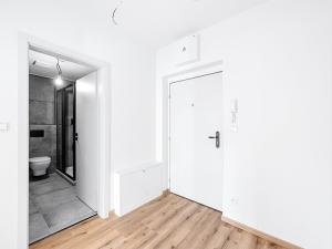 Prodej bytu 1+kk, České Budějovice, Nová, 38 m2