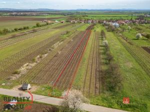 Prodej pozemku, Prušánky, 1280 m2