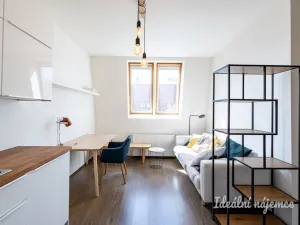Pronájem bytu 2+kk, Praha - Žižkov, Biskupcova, 44 m2