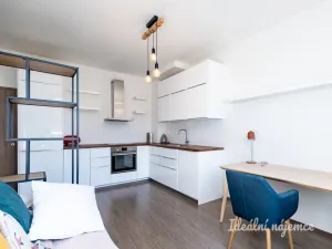 Pronájem bytu 2+kk, Praha - Žižkov, Biskupcova, 44 m2