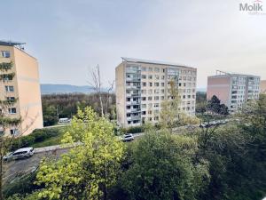 Prodej bytu 3+1, Teplice - Nová Ves, Habrová, 77 m2