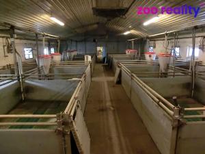 Prodej obchodního prostoru, Majdalena, 2000 m2