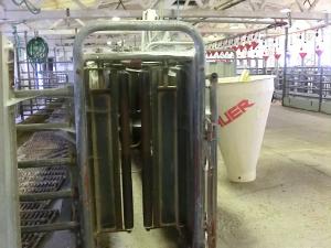 Prodej obchodního prostoru, Majdalena, 2000 m2