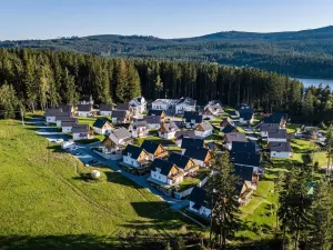 Prodej rodinného domu, Frymburk - Milná, Milná č.ev., 96 m2
