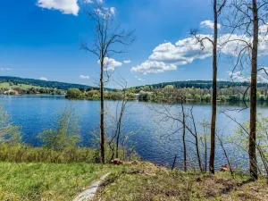 Prodej pozemku pro bydlení, Frymburk, 481 m2