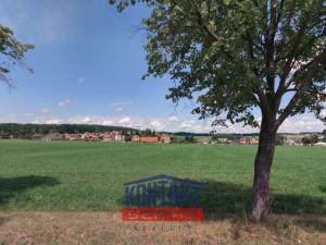 Prodej zemědělské půdy, Litvínovice, 8823 m2