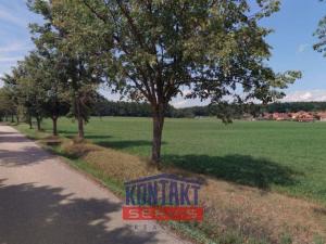 Prodej zemědělské půdy, Litvínovice, 8823 m2