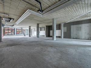 Pronájem obchodního prostoru, Praha - Vinohrady, Dudova, 232 m2