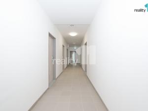 Pronájem bytu 2+kk, Liberec - Liberec II-Nové Město, Papírová, 72 m2