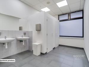 Pronájem kanceláře, Praha - Libeň, Sokolovská, 85 m2