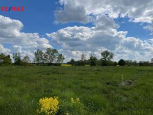 Prodej zemědělské půdy, Olomouc, 4547 m2