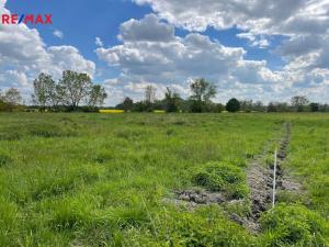 Prodej zemědělské půdy, Olomouc, 4547 m2