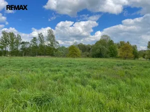 Prodej zemědělské půdy, Olomouc, 4547 m2