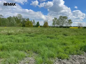 Prodej zemědělské půdy, Olomouc, 4547 m2