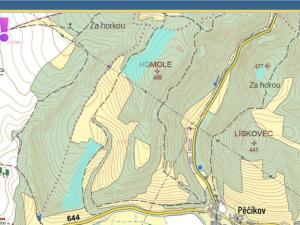 Prodej lesa, Městečko Trnávka - Pěčíkov, 542766 m2