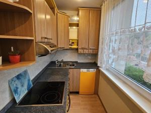 Prodej bytu 3+1, Ústí nad Labem - Ústí nad Labem-centrum, Malátova, 63 m2
