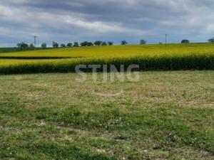 Prodej pozemku pro bydlení, Stěbořice - Nový Dvůr, 524 m2