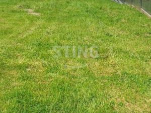 Prodej pozemku pro bydlení, Stěbořice - Nový Dvůr, 524 m2