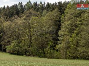 Prodej lesa, Třebětín - Hostkovice, 11614 m2