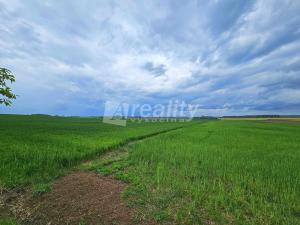 Prodej zemědělské půdy, Vinary - Kozojídky, 31385 m2