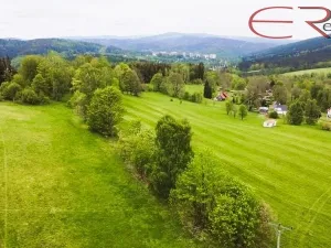 Prodej trvalého travního porostu, Smržovka, 18246 m2